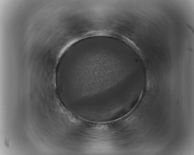 X0000102231174200808011218