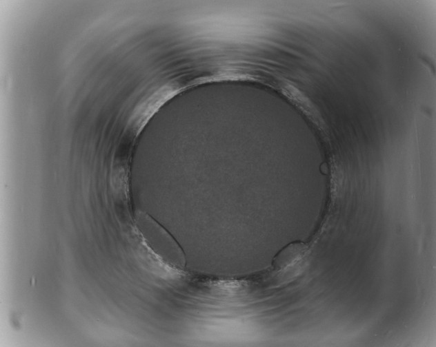 X0000102231177200808011218