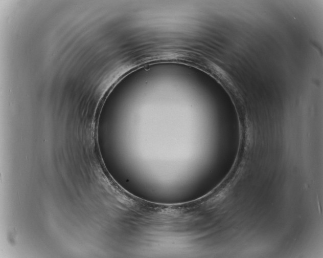 X0000102231178200808011218