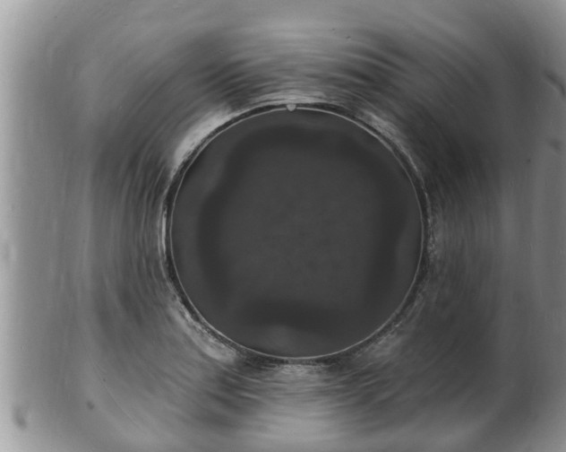 X0000102231179200808011218