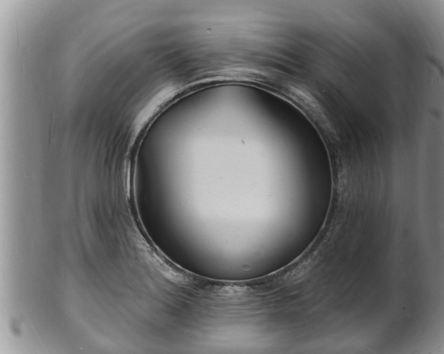 X0000102231180200808011218