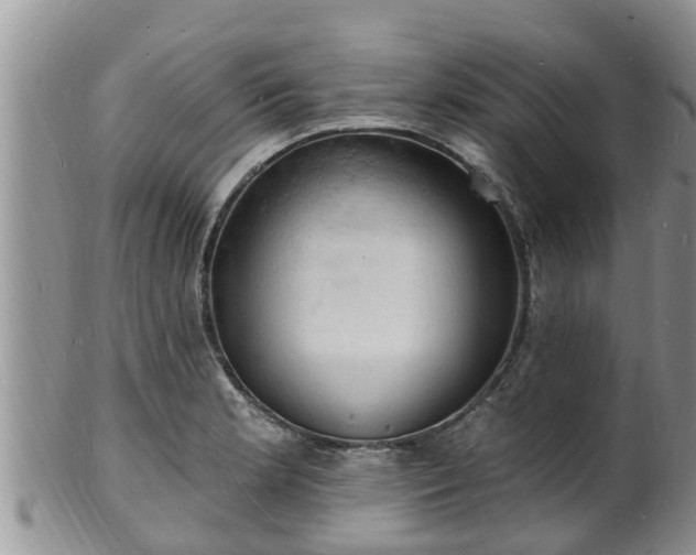 X0000102231181200808011218