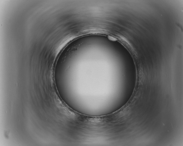 X0000102231182200808011218