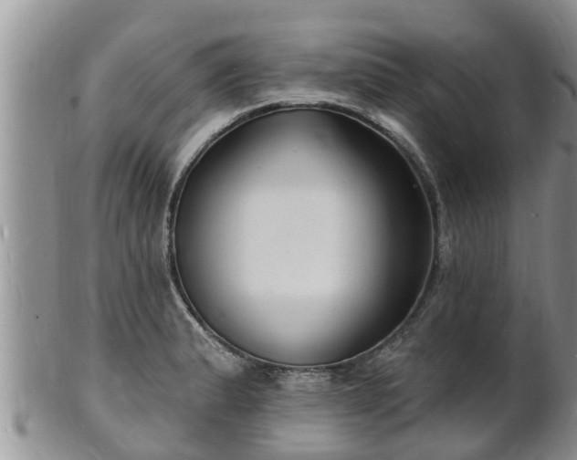 X0000102231183200808011218