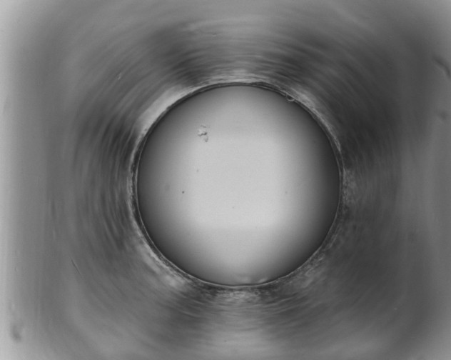 X0000102231187200808011218