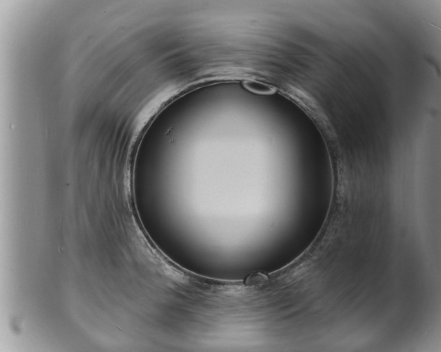 X0000102231188200808011218