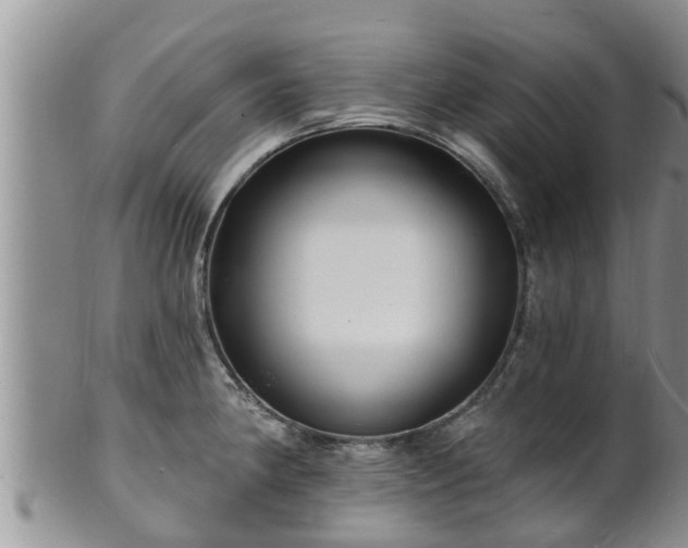 X0000102231190200808011218
