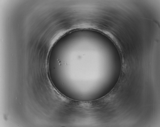 X0000102231191200808011218