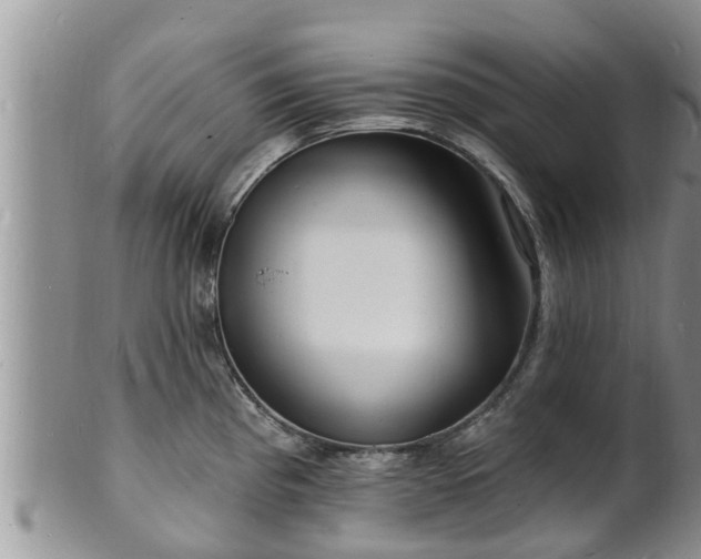 X0000102231193200808011218