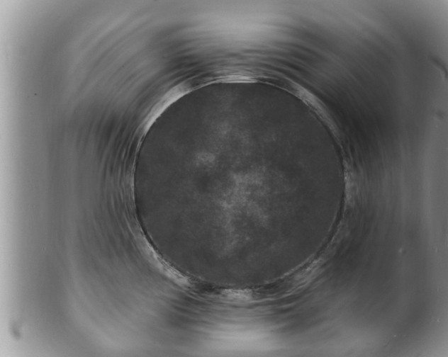 X0000102231194200808011218