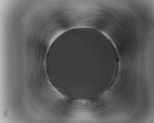 X0000102231197200808011218