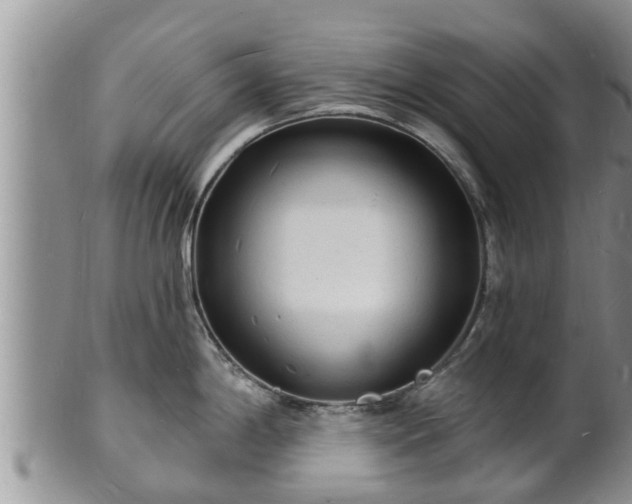 X0000102231198200808011218