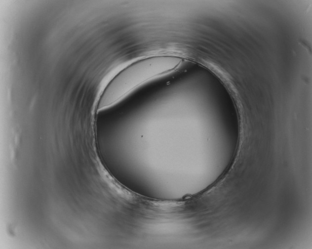 X0000102231200200808011218