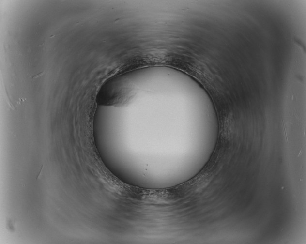 X0000102231201200808011217