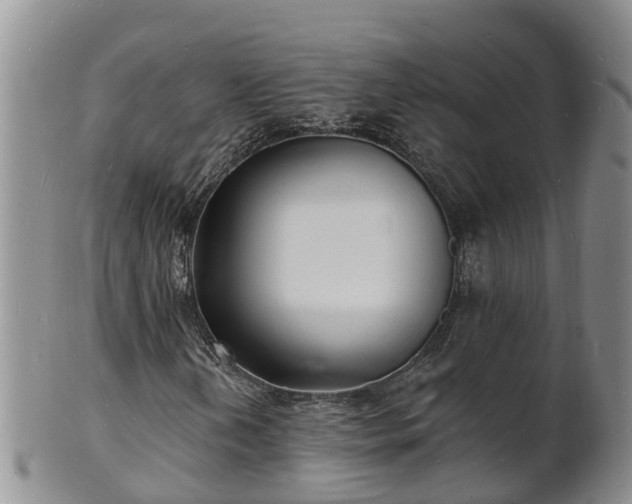 X0000102231202200808011217