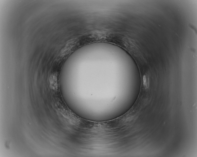 X0000102231203200808011217