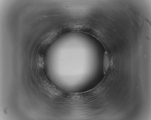 X0000102231204200808011217