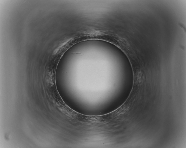 X0000102231205200808011217