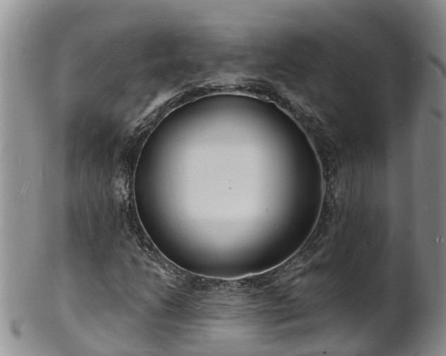 X0000102231206200808011217