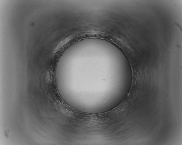 X0000102231207200808011217