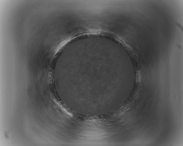 X0000102231208200808011217