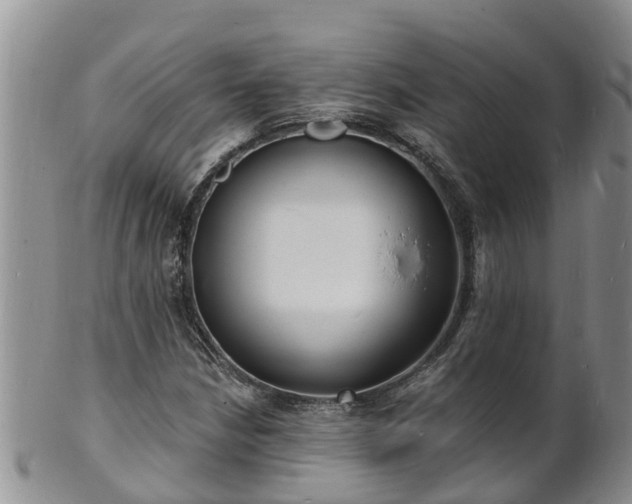 X0000102231210200808011217