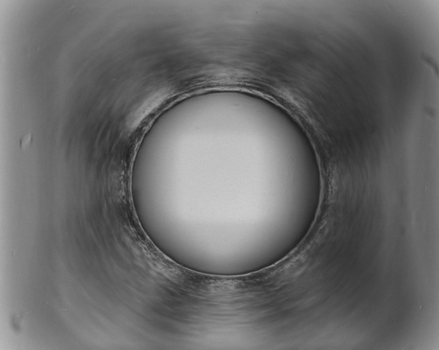 X0000102231211200808011217