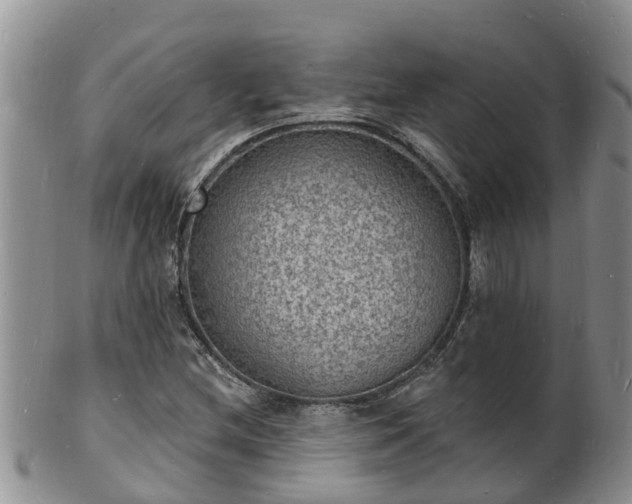 X0000102231212200808011217