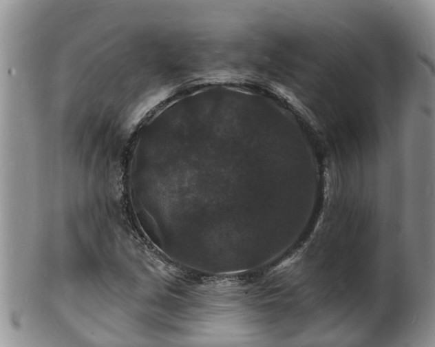 X0000102231213200808011217