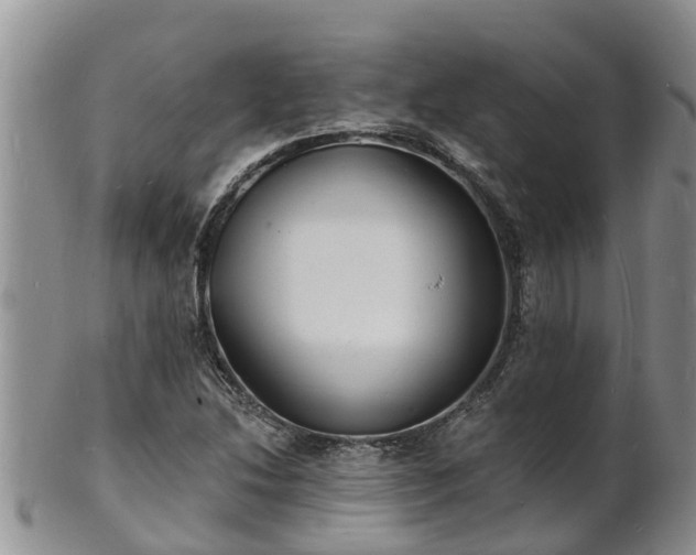 X0000102231214200808011217