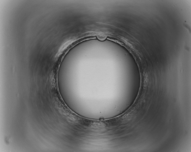 X0000102231215200808011217