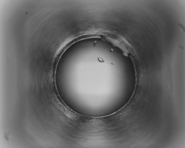 X0000102231216200808011217