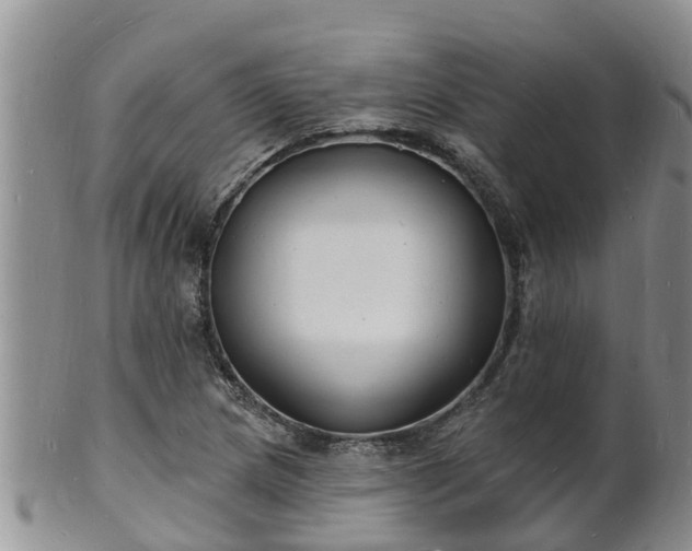 X0000102231217200808011217