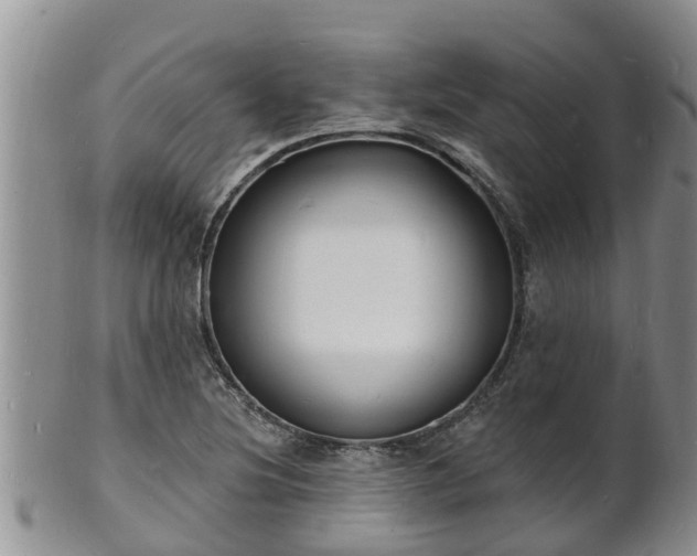 X0000102231220200808011217