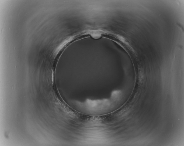 X0000102231221200808011217