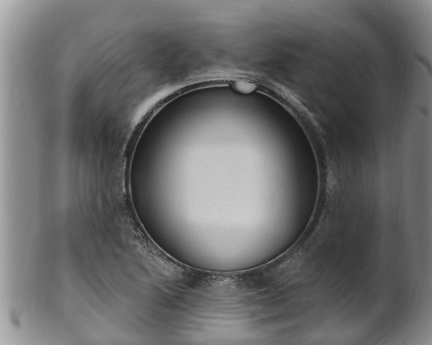 X0000102231222200808011217