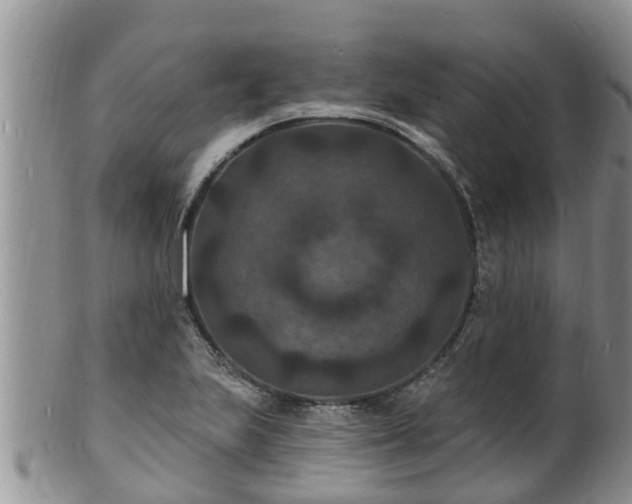 X0000102231223200808011217