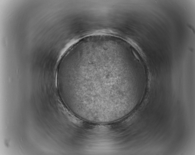 X0000102231224200808011217