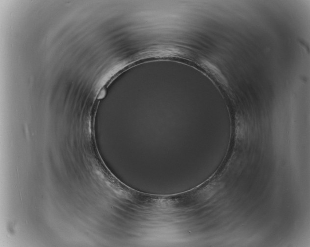 X0000102231226200808011217