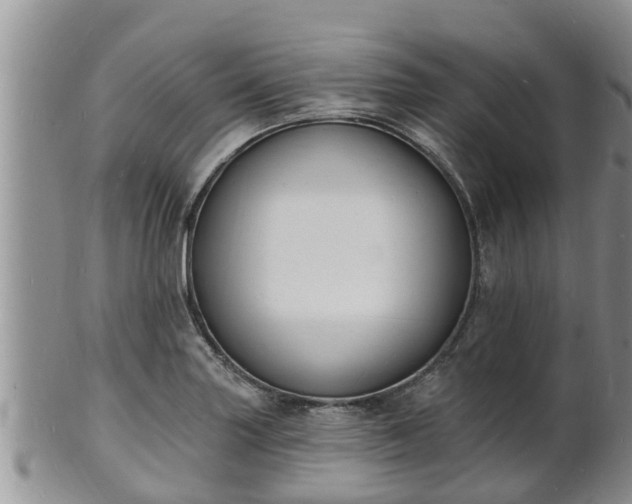 X0000102231227200808011217