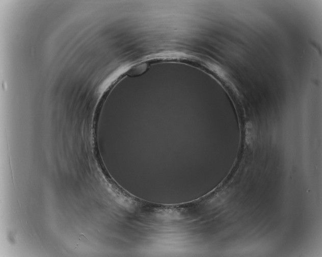 X0000102231229200808011217