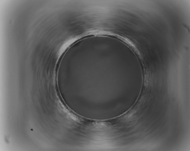 X0000102231231200808011217