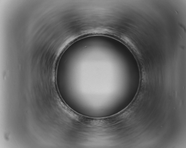 X0000102231232200808011217