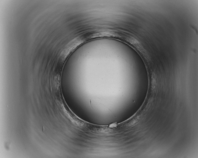 X0000102231233200808011217
