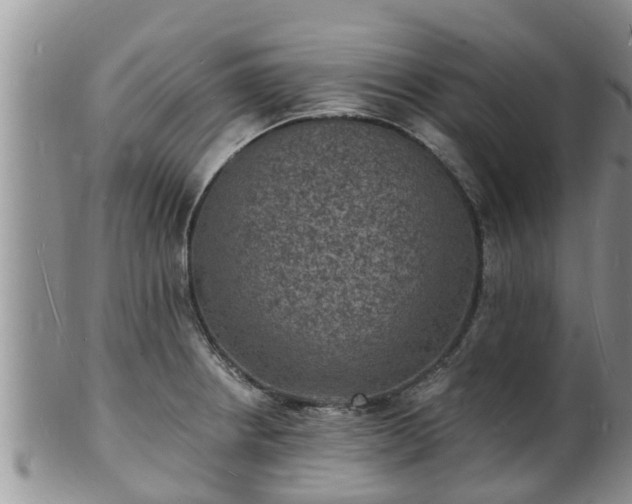 X0000102231234200808011217