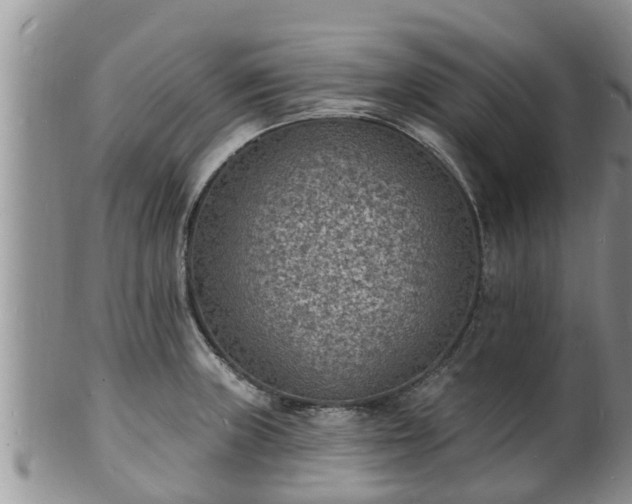 X0000102231235200808011217