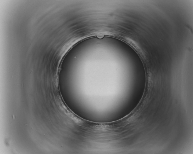 X0000102231236200808011218