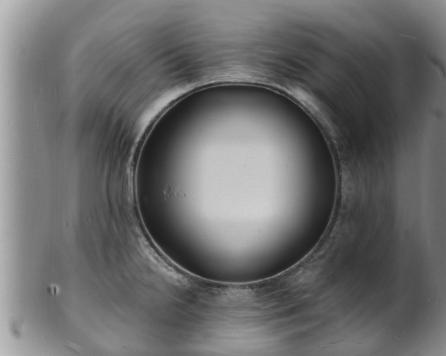 X0000102231238200808011218