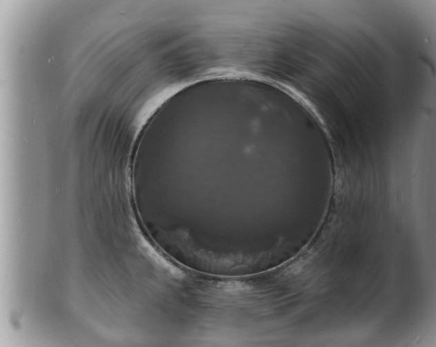 X0000102231239200808011218