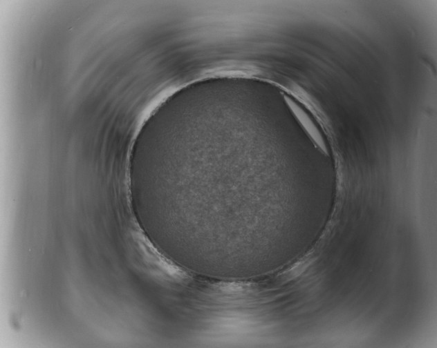 X0000102231240200808011218